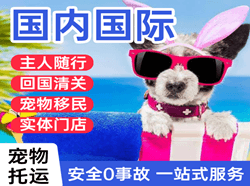 玉龙航空空运国际宠物托运 【国